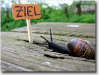Sie sind am Ziel, hier wird Ihnen geholfen!